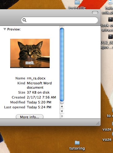 Meh Kitty: preview image of a jpg file with a kitten say "Meh"